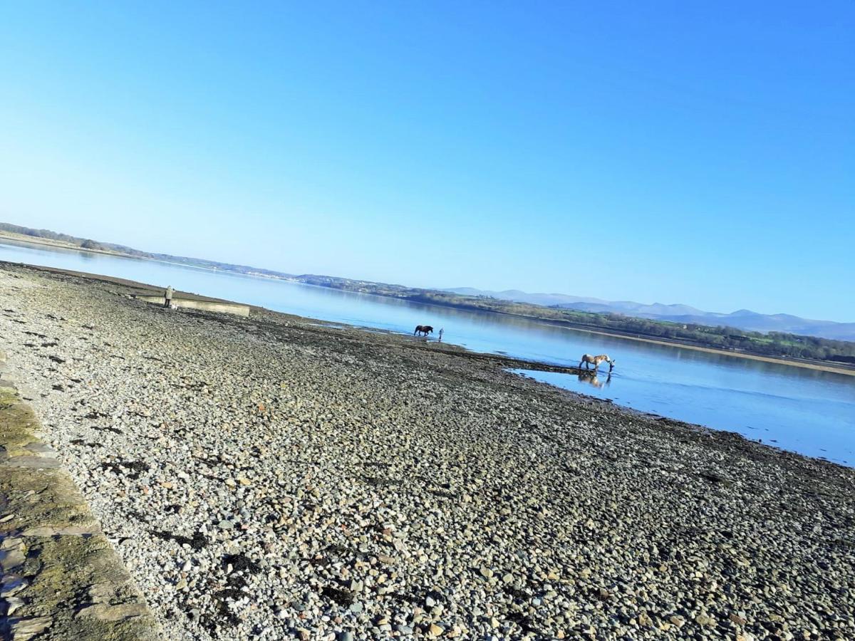 Gwenallt Dwyran Экстерьер фото
